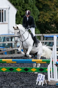 Class 5 - Fences not above 2'6